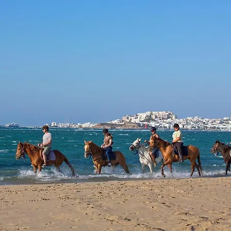 En Lefko Boutique House * Naxos City