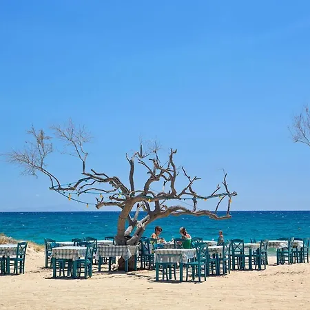 En Lefko Boutique House Daire Naxos City