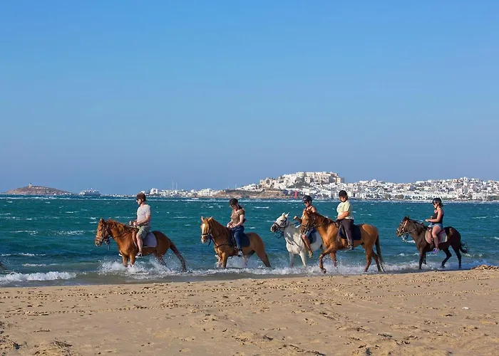 En Lefko Boutique House * Naxos City